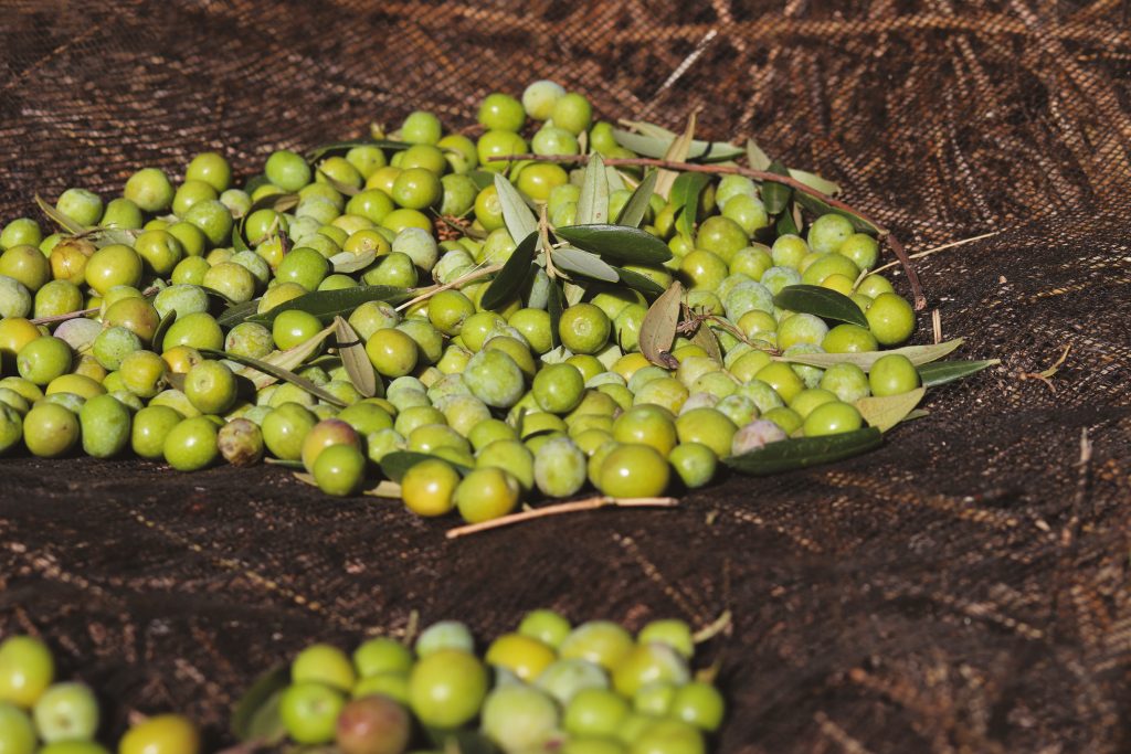 Finca La Torre renueva su imagen