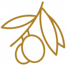 finca-la-torre-olivo-nuestros-aoves